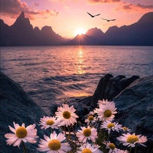 Meet your Posher, Brenda